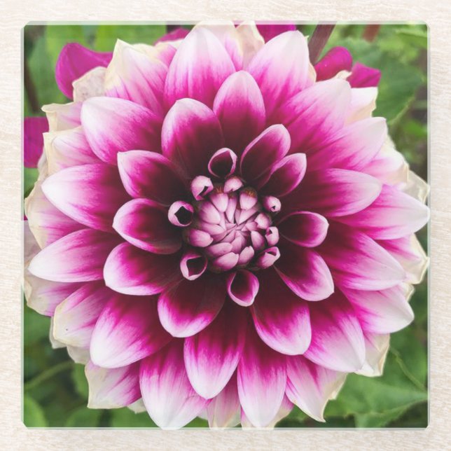 Dessous-de-verre En Verre Patches Dahlia (Devant)