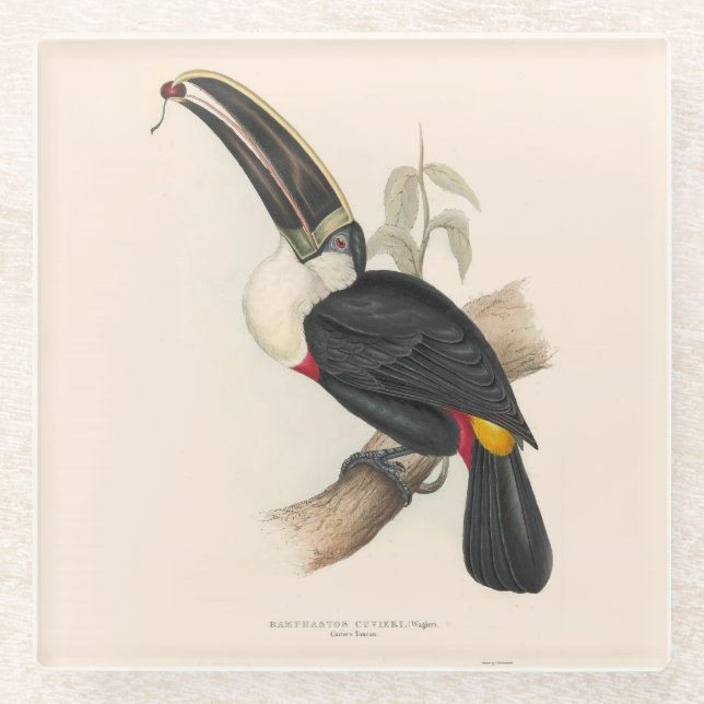 Dessous-de-verre En Verre Peinture animalière d'antiquités Toucans (Devant)