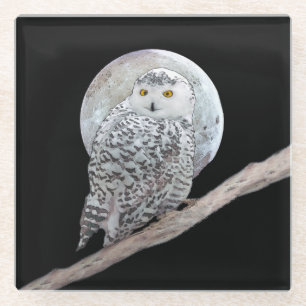 Dessous-de-verre En Verre Peinture sur la Chouette neigeuse et la Lune - Art