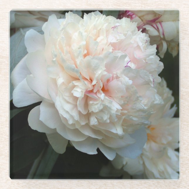 Dessous-de-verre En Verre Peony (Devant)
