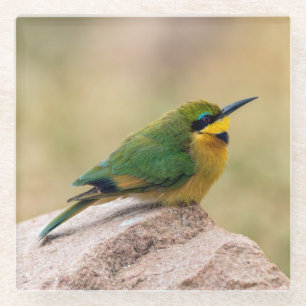 Dessous-de-verre En Verre Petit Bee-Eater