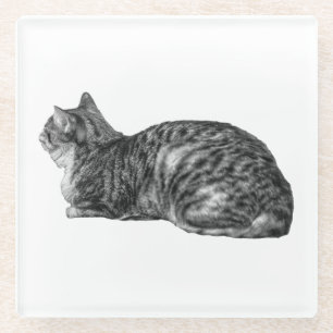 Dessous-de-verre En Verre Petite pause, Pointe Tabby