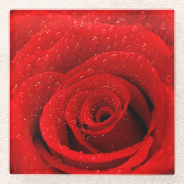 Dessous-de-verre En Verre Photo d'arrière - plan de rose rouge (Devant)
