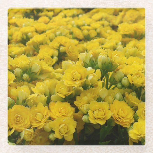 Dessous-de-verre En Verre Photo de fleur jaune délicate et vibrante florale (Devant)