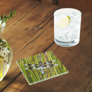 Dessous-de-verre En Verre Photo de libellule d'écrémage blanc commun