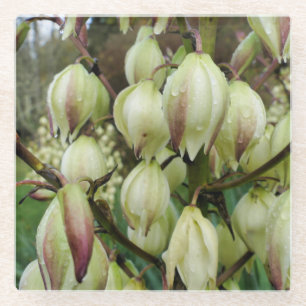 Dessous-de-verre En Verre Plante du Yucca