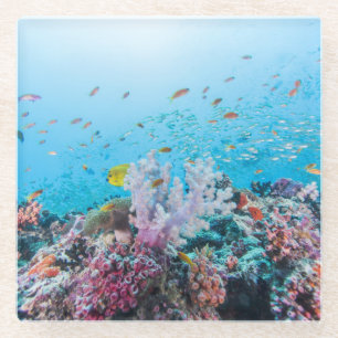 Dessous-de-verre En Verre Plongée à l'air avec le récif et le corail colo