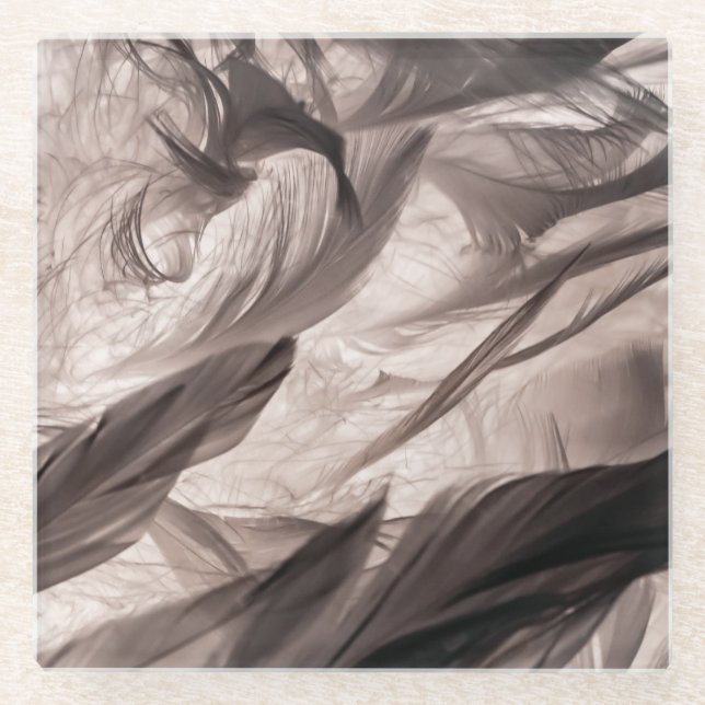 Dessous-de-verre En Verre Plumes (Devant)