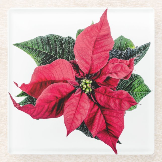 Dessous-de-verre En Verre Poinsettia (Devant)