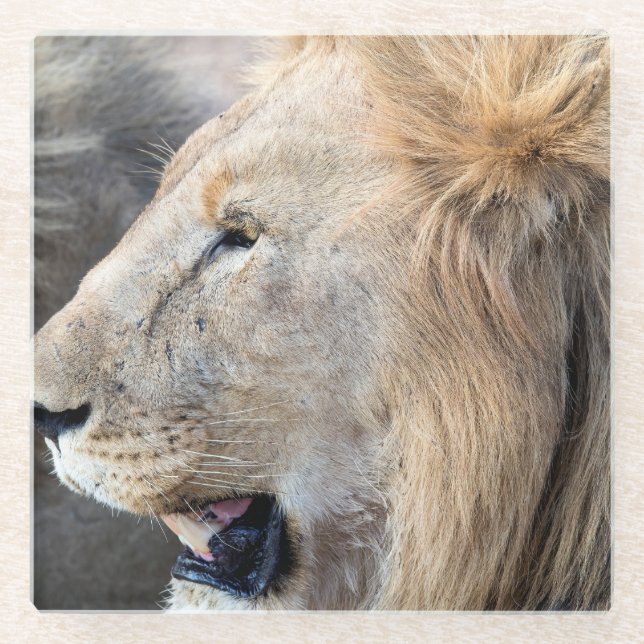 Dessous-de-verre En Verre Portrait de Lion (Devant)