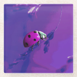 Dessous-de-verre En Verre Poupée Ladybug
