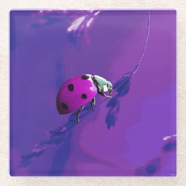Dessous-de-verre En Verre Poupée Ladybug (Devant)