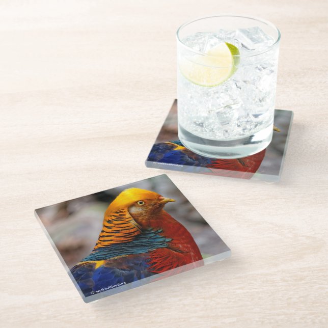 Dessous-de-verre En Verre Profil d'un faisan rouge doré (Incliné)