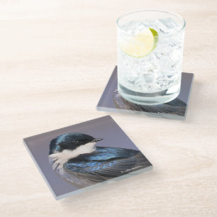 Dessous-de-verre En Verre Profil éclairé d'un oiseau chanteur d'hirondelle d