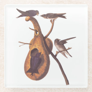 Dessous-de-verre En Verre Purple Martin Audubon Bird Famille et Gourd Accuei