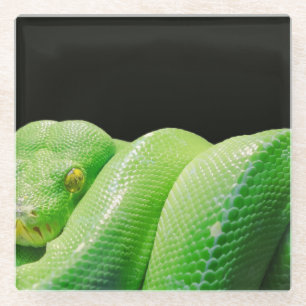 Dessous-de-verre En Verre python vert
