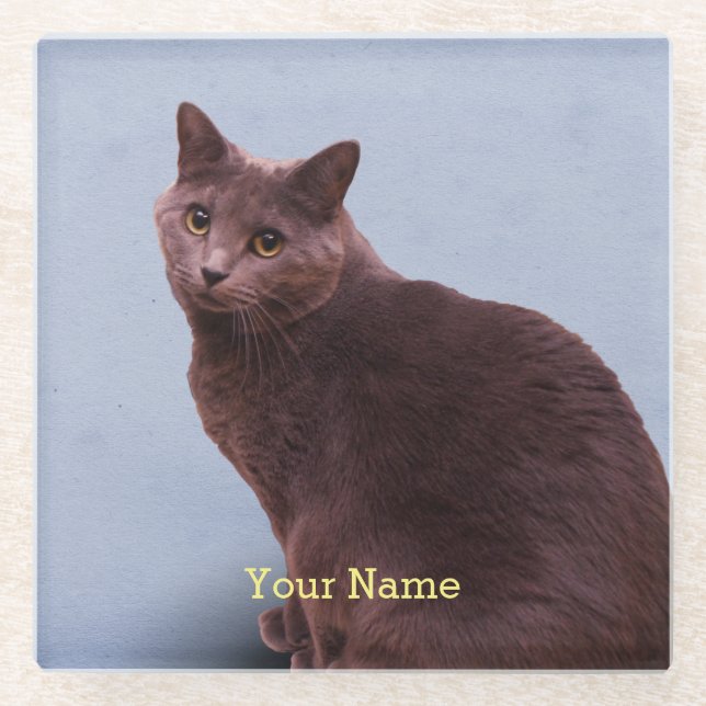 Dessous-de-verre En Verre Regard russe de chat bleu (Devant)