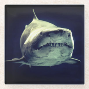 Dessous-de-verre En Verre Requin