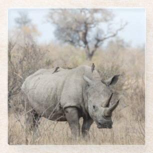 Dessous-de-verre En Verre Rhino blanc