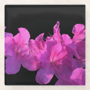 Dessous-de-verre En Verre Rhododendron