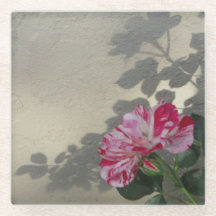Rose Avant-garde et Ombre