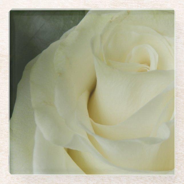 Dessous-de-verre En Verre Rose blanche (Devant)
