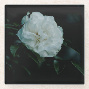 Dessous-de-verre En Verre Rose blanche