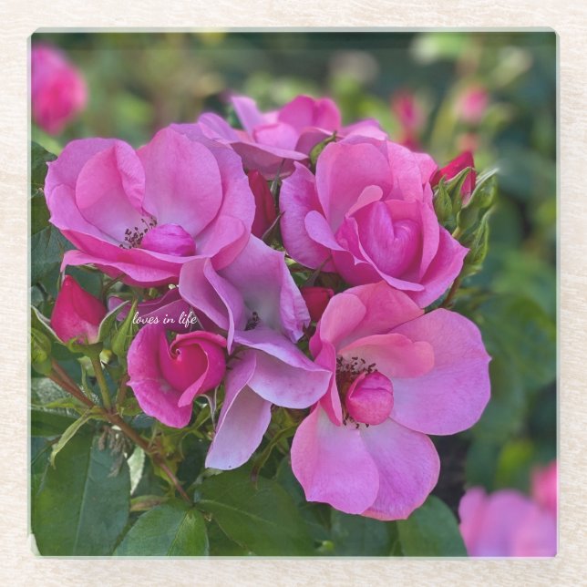 Dessous-de-verre En Verre Rose lilas (Devant)