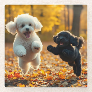Dessous-de-verre En Verre Saupoudrer les chiots de caniche