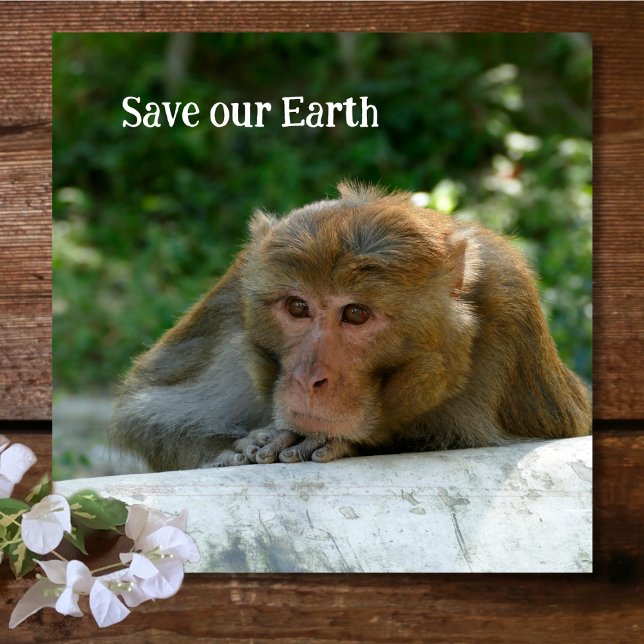 Dessous-de-verre En Verre Singe - Grand-père (Créateur téléchargé)