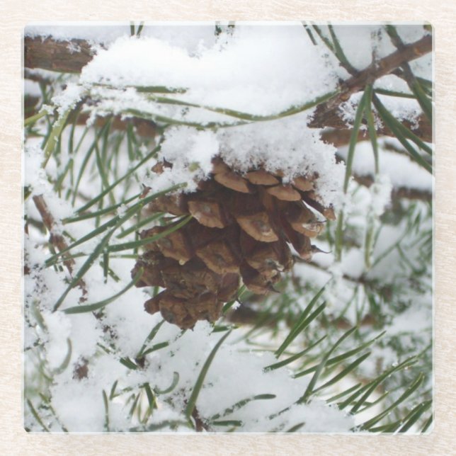 Dessous-de-verre En Verre Snowy Pine Cone I (Devant)
