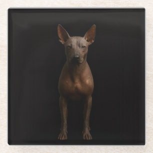 Dessous-de-verre En Verre Sous-verre en verre Luxe Noir 4, Chien Pila d'Arge