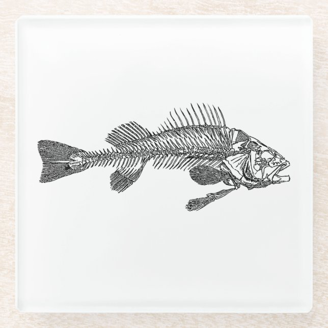Dessous-de-verre En Verre Squelette de poisson (Devant)