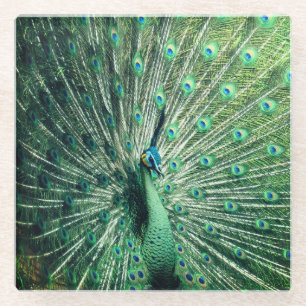 Dessous-de-verre En Verre Strut Peacock
