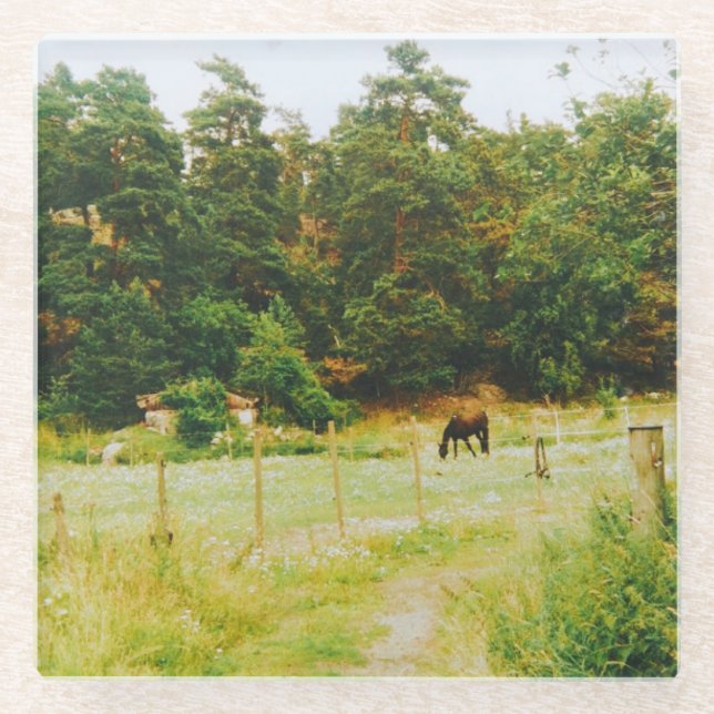 Dessous-de-verre En Verre Swedish Countryside (Devant)