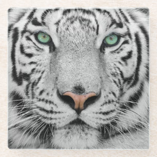 Dessous-de-verre En Verre Tigre blanc