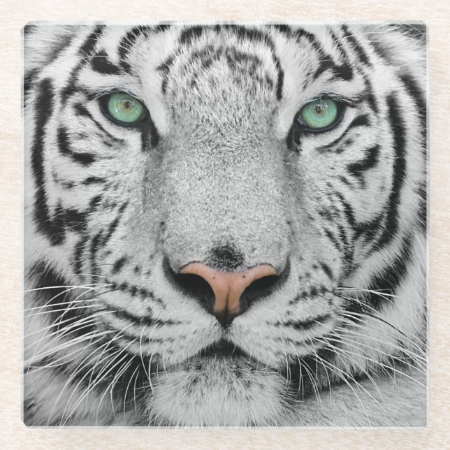 Dessous-de-verre En Verre Tigre blanc (Devant)