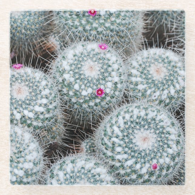 Dessous-de-verre En Verre Tiny rose Fleurs Plantes Cactus (Devant)