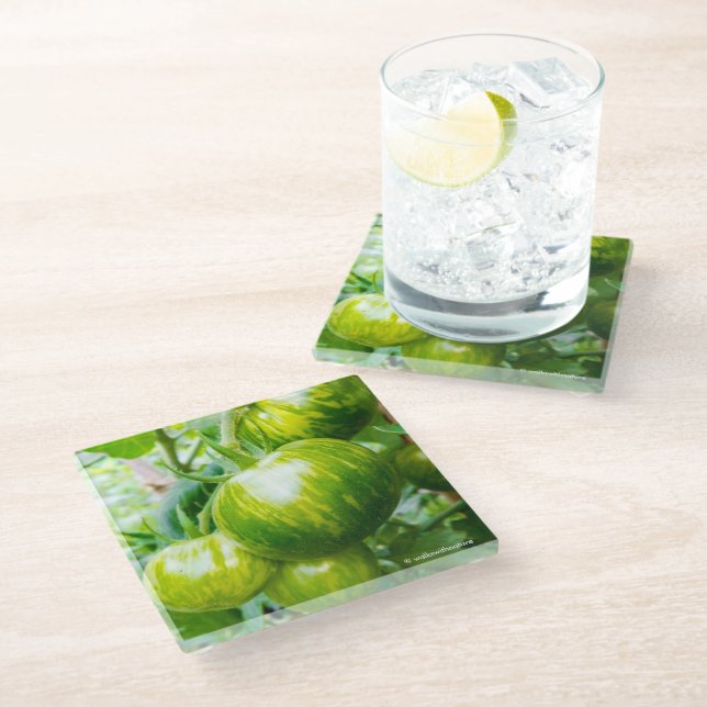 Dessous-de-verre En Verre Tomates en héritier Zèbre vert sur la vigne (Incliné)