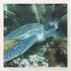 Dessous-de-verre En Verre Tortue de mer