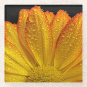 Dessous-de-verre En Verre Tournesol avec gouttes de ragoût