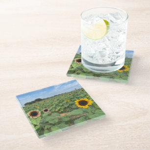 Dessous-de-verre En Verre Tournesol - photo nature