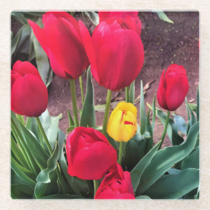 Dessous-de-verre En Verre Un Jaune aux tulipes rouges