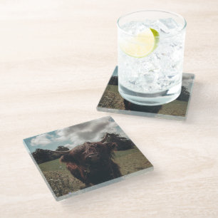 Dessous-de-verre En Verre Vache écossaise de la région montagneuse noire pât