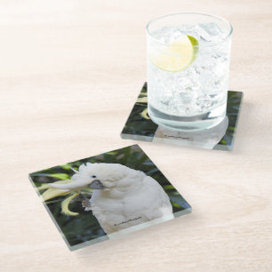 Dessous-de-verre En Verre Vagues de Cockatoo au soufre au photographe