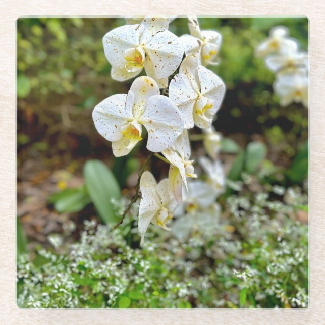Dessous-de-verre En Verre White Orchid (Devant)