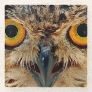 Dessous-de-verre En Verre Yeux de hiboux