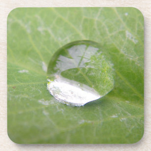 Dessous de verre énorme goutte d'eau sur une feuil