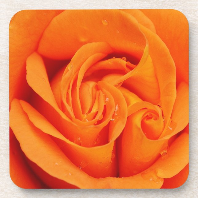 Dessous-de-verre Ensemble de 6 casseroles rose orange rétro fleur (Devant)