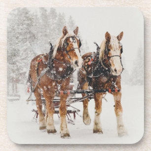 Dessous-de-verre Équipe de Belgique de cheval Wintery Christmas Sce